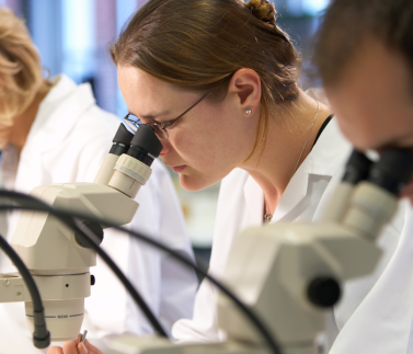 lab-research-microsope-female-sceintists