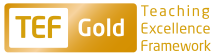 Teaching Excellence Framework - TEF